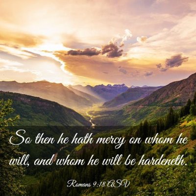 Picture 03 - Romans 9:18 ASV - So then he hath mercy on whom he will, and whom - Bible Verse Picture