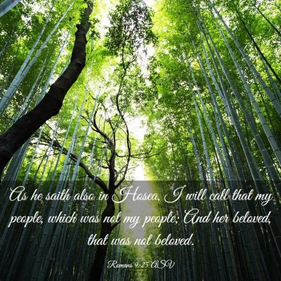 Picture 03 - Romans 9:25 ASV - As he saith also in Hosea, I will call that my - Bible Verse Picture