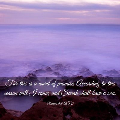 Picture 03 - Romans 9:9 ASV - For this is a word of promise, According to this - Bible Verse Picture