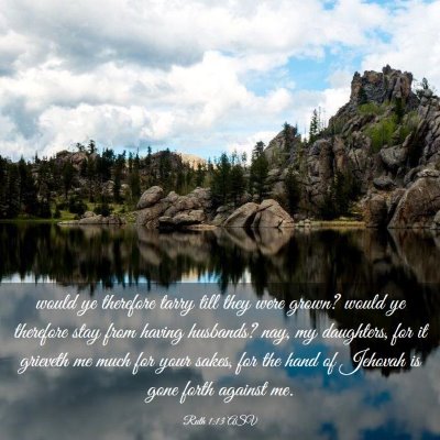 Picture 03 - Ruth 1:13 ASV - would ye therefore tarry till they were grown? - Bible Verse Picture