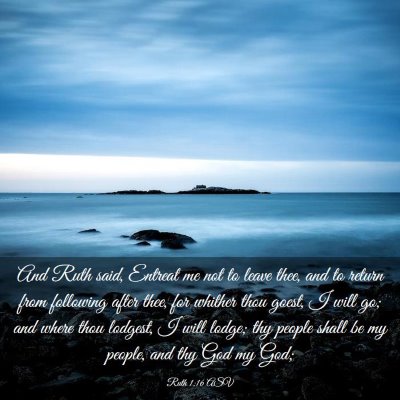 Picture 03 - Ruth 1:16 ASV - And Ruth said, Entreat me not to leave thee, and - Bible Verse Picture