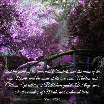 Picture 03 - Ruth 1:2 ASV - And the name of the man was Elimelech, and the - Bible Verse Picture