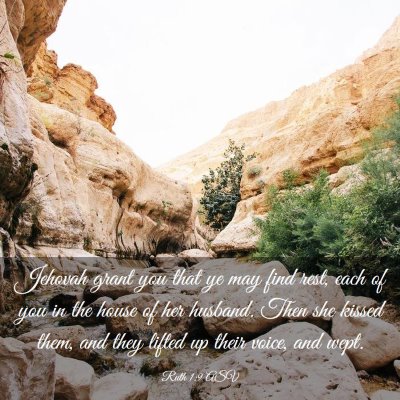Picture 03 - Ruth 1:9 ASV - Jehovah grant you that ye may find rest, each of - Bible Verse Picture
