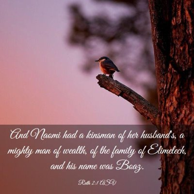Picture 03 - Ruth 2:1 ASV - And Naomi had a kinsman of her husband's, a - Bible Verse Picture