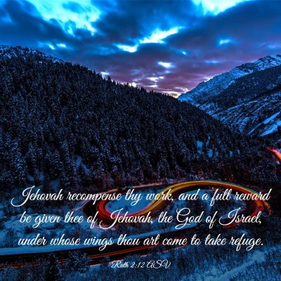 Picture 03 - Ruth 2:12 ASV - Jehovah recompense thy work, and a full reward be - Bible Verse Picture