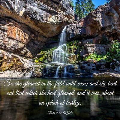 Picture 03 - Ruth 2:17 ASV - So she gleaned in the field until even; and she - Bible Verse Picture