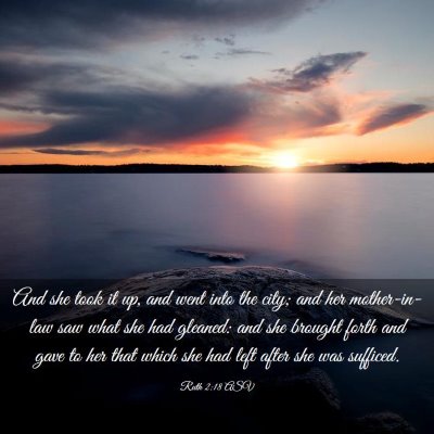 Picture 03 - Ruth 2:18 ASV - And she took it up, and went into the city; and - Bible Verse Picture