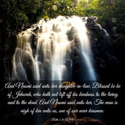 Picture 03 - Ruth 2:20 ASV - And Naomi said unto her daughter-in-law, Blessed - Bible Verse Picture