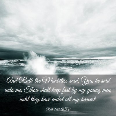 Picture 03 - Ruth 2:21 ASV - And Ruth the Moabitess said, Yea, he said unto - Bible Verse Picture