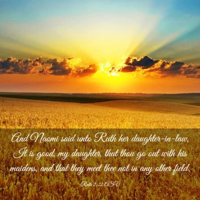 Picture 03 - Ruth 2:22 ASV - And Naomi said unto Ruth her daughter-in-law, It - Bible Verse Picture