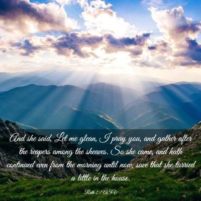 Picture 03 - Ruth 2:7 ASV - And she said, Let me glean, I pray you, and - Bible Verse Picture