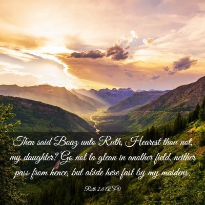 Picture 03 - Ruth 2:8 ASV - Then said Boaz unto Ruth, Hearest thou not, my - Bible Verse Picture