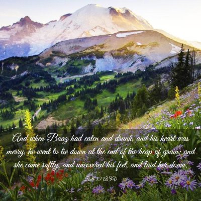 Picture 03 - Ruth 3:7 ASV - And when Boaz had eaten and drunk, and his heart - Bible Verse Picture