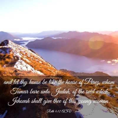 Picture 03 - Ruth 4:12 ASV - and let thy house be like the house of Perez, - Bible Verse Picture