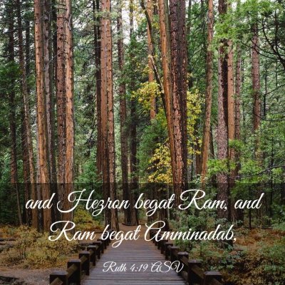 Picture 03 - Ruth 4:19 ASV - and Hezron begat Ram, and Ram begat - Bible Verse Picture
