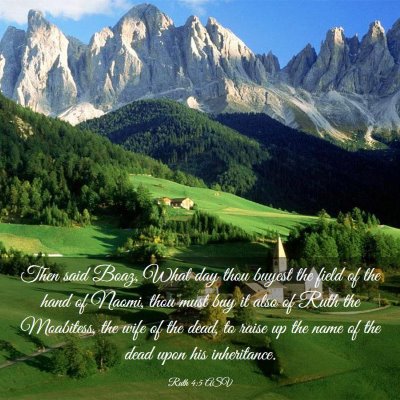 Picture 03 - Ruth 4:5 ASV - Then said Boaz, What day thou buyest the field of - Bible Verse Picture