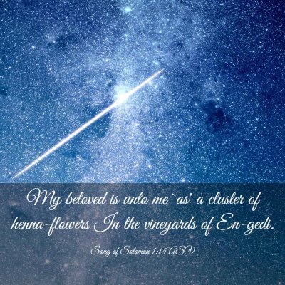 Picture 03 - Song of Solomon 1:14 ASV - My beloved is unto me `as' a cluster of - Bible Verse Picture