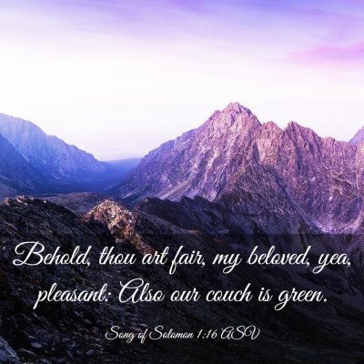 Picture 03 - Song of Solomon 1:16 ASV - Behold, thou art fair, my beloved, yea, pleasant: - Bible Verse Picture
