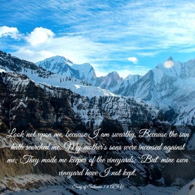 Picture 03 - Song of Solomon 1:6 ASV - Look not upon me, because I am swarthy, Because - Bible Verse Picture