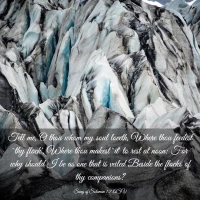 Picture 03 - Song of Solomon 1:7 ASV - Tell me, O thou whom my soul loveth, Where thou - Bible Verse Picture