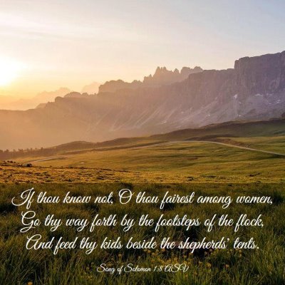 Picture 03 - Song of Solomon 1:8 ASV - If thou know not, O thou fairest among women, Go - Bible Verse Picture