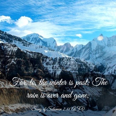 Picture 03 - Song of Solomon 2:11 ASV - For, lo, the winter is past; The rain is over and - Bible Verse Picture