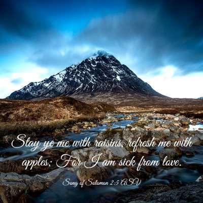 Picture 03 - Song of Solomon 2:5 ASV - Stay ye me with raisins, refresh me with apples; - Bible Verse Picture