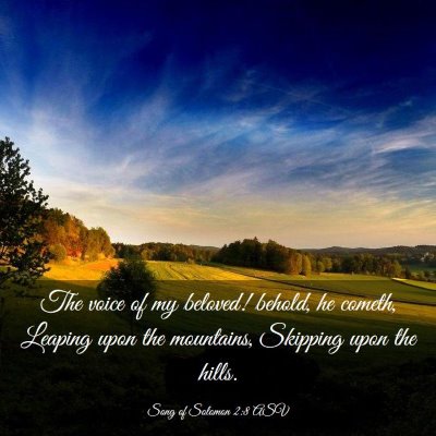 Picture 03 - Song of Solomon 2:8 ASV - The voice of my beloved! behold, he cometh, - Bible Verse Picture