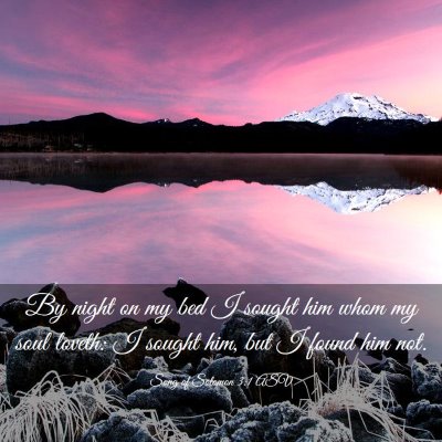 Picture 03 - Song of Solomon 3:1 ASV - By night on my bed I sought him whom my soul - Bible Verse Picture