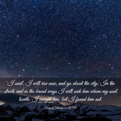 Picture 03 - Song of Solomon 3:2 ASV - `I said', I will rise now, and go about the city; - Bible Verse Picture