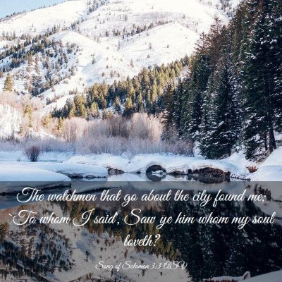 Picture 03 - Song of Solomon 3:3 ASV - The watchmen that go about the city found me; `To - Bible Verse Picture