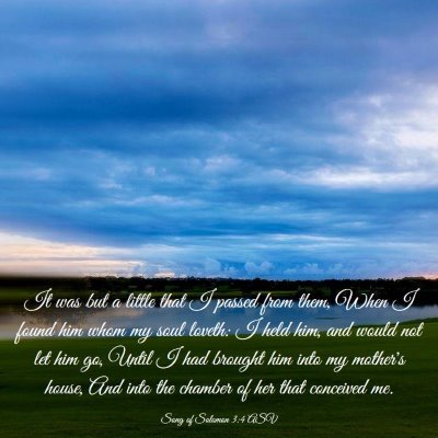 Picture 03 - Song of Solomon 3:4 ASV - It was but a little that I passed from them, When - Bible Verse Picture