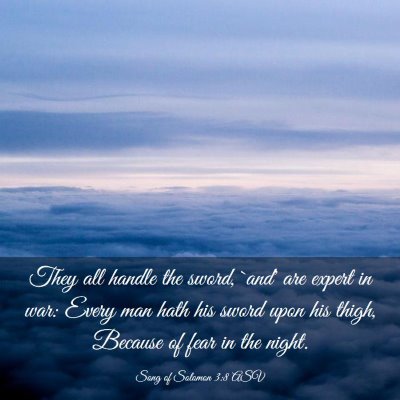 Picture 03 - Song of Solomon 3:8 ASV - They all handle the sword, `and' are expert in - Bible Verse Picture