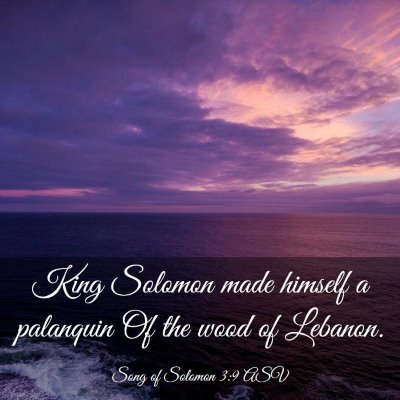 Picture 03 - Song of Solomon 3:9 ASV - King Solomon made himself a palanquin Of the wood - Bible Verse Picture