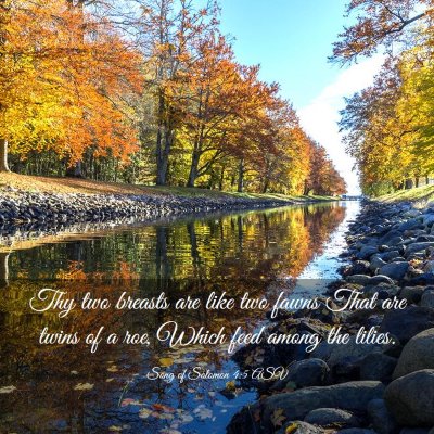 Picture 03 - Song of Solomon 4:5 ASV - Thy two breasts are like two fawns That are twins - Bible Verse Picture