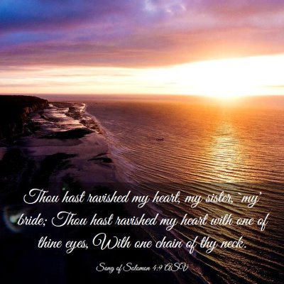 Picture 03 - Song of Solomon 4:9 ASV - Thou hast ravished my heart, my sister, `my' - Bible Verse Picture