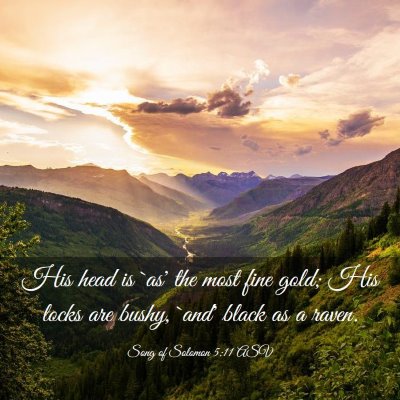 Picture 03 - Song of Solomon 5:11 ASV - His head is `as' the most fine gold; His locks - Bible Verse Picture