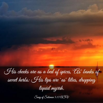 Picture 03 - Song of Solomon 5:13 ASV - His cheeks are as a bed of spices, `As' banks of - Bible Verse Picture