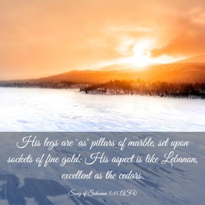 Picture 03 - Song of Solomon 5:15 ASV - His legs are `as' pillars of marble, set upon - Bible Verse Picture