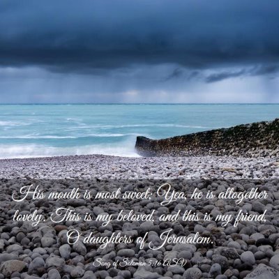Picture 03 - Song of Solomon 5:16 ASV - His mouth is most sweet; Yea, he is altogether - Bible Verse Picture
