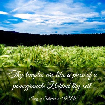 Picture 03 - Song of Solomon 6:7 ASV - Thy temples are like a piece of a pomegranate - Bible Verse Picture
