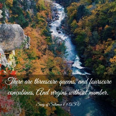 Picture 03 - Song of Solomon 6:8 ASV - There are threescore queens, and fourscore - Bible Verse Picture
