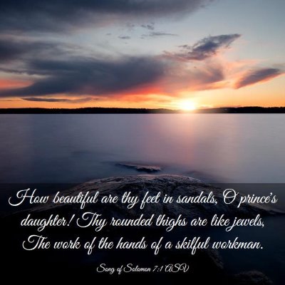 Picture 03 - Song of Solomon 7:1 ASV - How beautiful are thy feet in sandals, O prince's - Bible Verse Picture