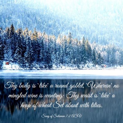Picture 03 - Song of Solomon 7:2 ASV - Thy body is `like' a round goblet, `Wherein' no - Bible Verse Picture