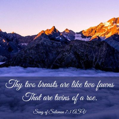 Picture 03 - Song of Solomon 7:3 ASV - Thy two breasts are like two fawns That are twins - Bible Verse Picture