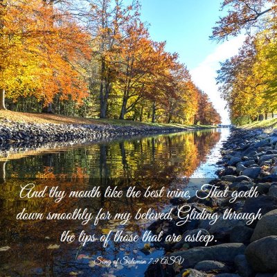 Picture 03 - Song of Solomon 7:9 ASV - And thy mouth like the best wine, That goeth down - Bible Verse Picture