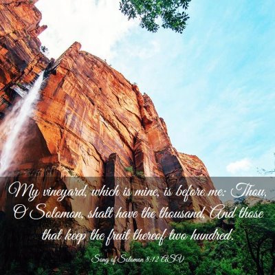 Picture 03 - Song of Solomon 8:12 ASV - My vineyard, which is mine, is before me: Thou, O - Bible Verse Picture