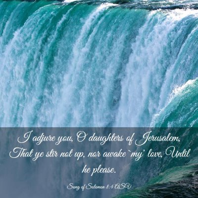 Picture 03 - Song of Solomon 8:4 ASV - I adjure you, O daughters of Jerusalem, That ye - Bible Verse Picture