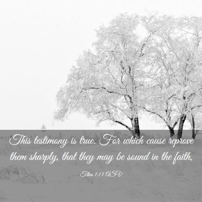 Picture 03 - Titus 1:13 ASV - This testimony is true. For which cause reprove - Bible Verse Picture