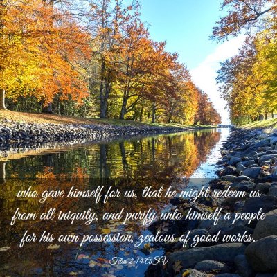 Picture 03 - Titus 2:14 ASV - who gave himself for us, that he might redeem us - Bible Verse Picture